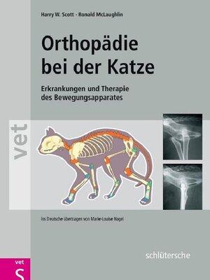 cover image of Orthopädie bei der Katze